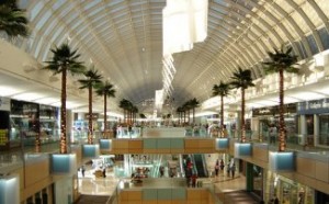 Inside of what appears to be a mall with palm trees and escalators.